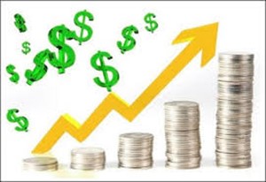 سرمایه گذاری